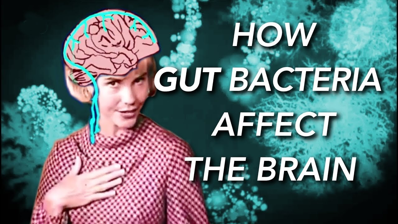 Hippocrates knew what he was talking about when he said “All disease begins in the gut,” and “Let food be thy