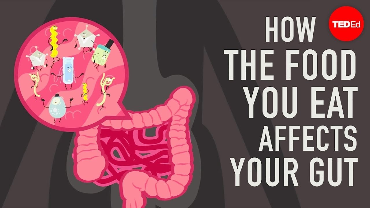 While we can’t control all the factors that go into maintaining a healthy gut microbiome, we can manipulate the