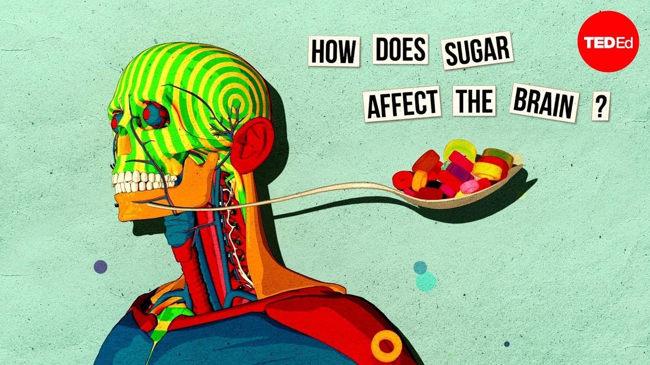 Nicole Avena explains why sweets and treats should be enjoyed in moderation. TED Talk explained by Nicole